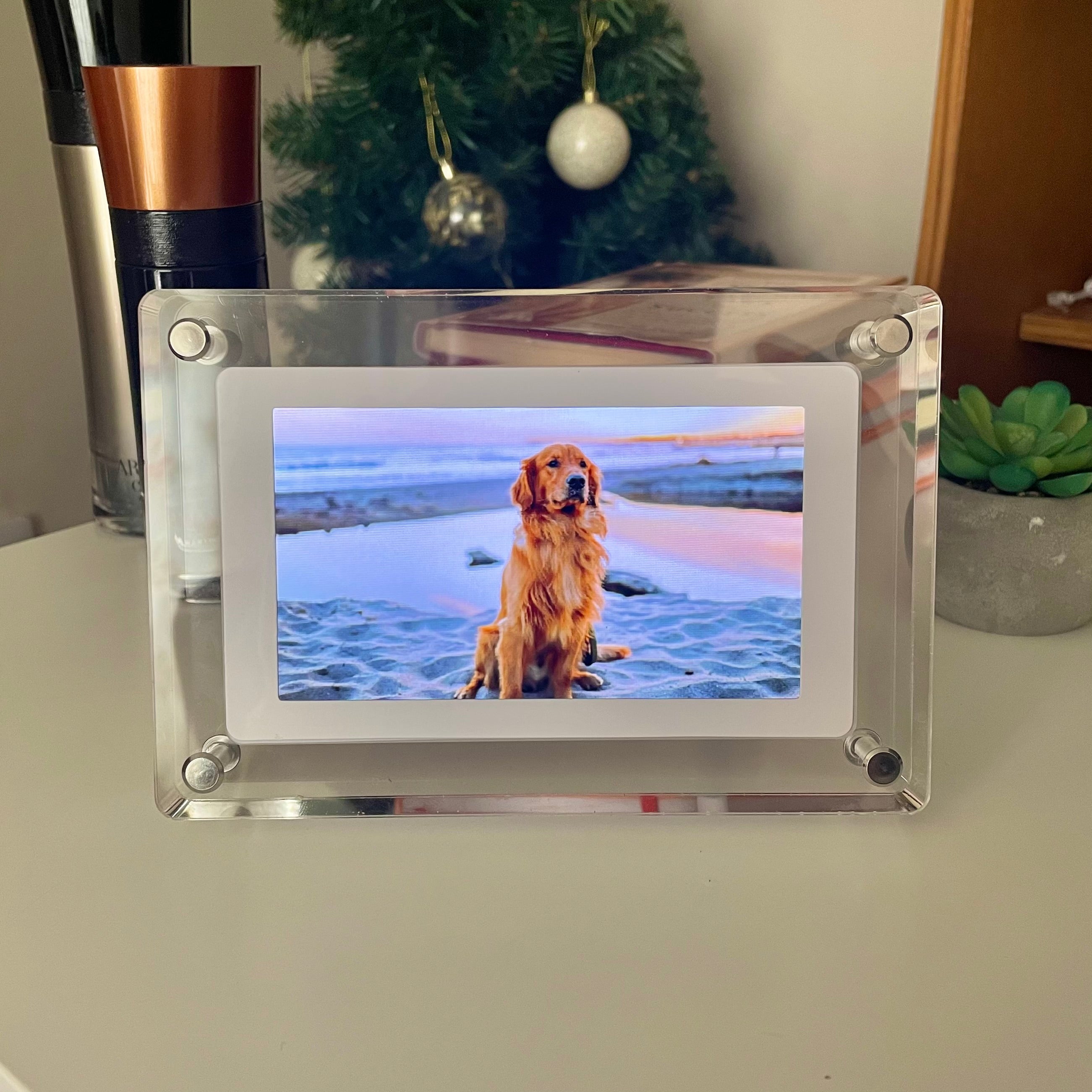 Eternal Companion Memory Frame