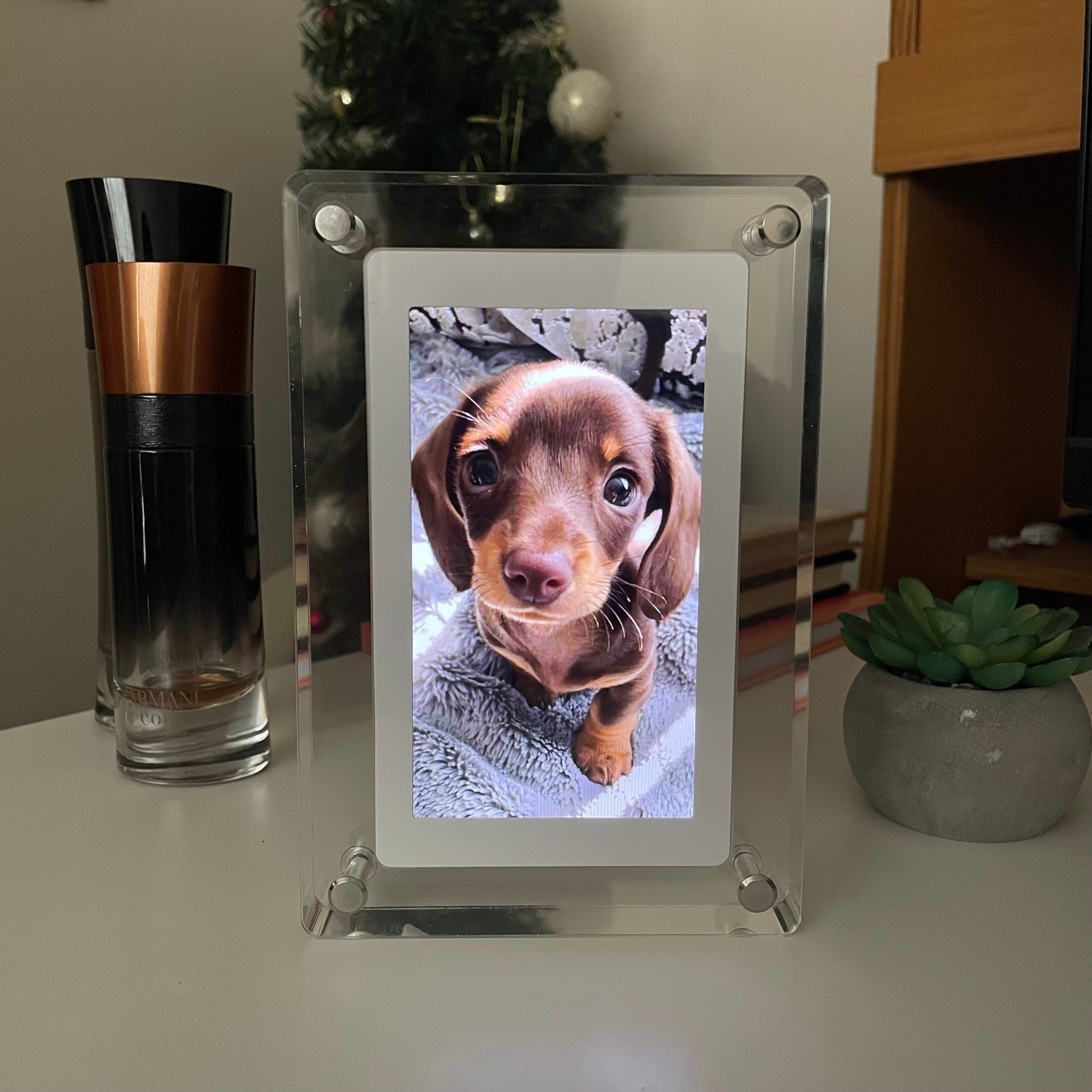 Eternal Companion Memory Frame